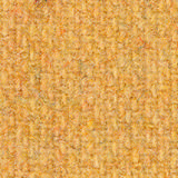 Pugirg Fenice 1204.jpg